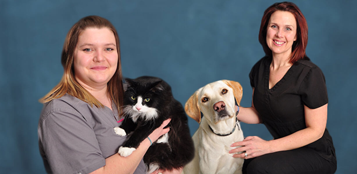 Resources for our Clients | Affiliated Veterinary Emergency Service |  Emergency Vet in Allen Park, MI